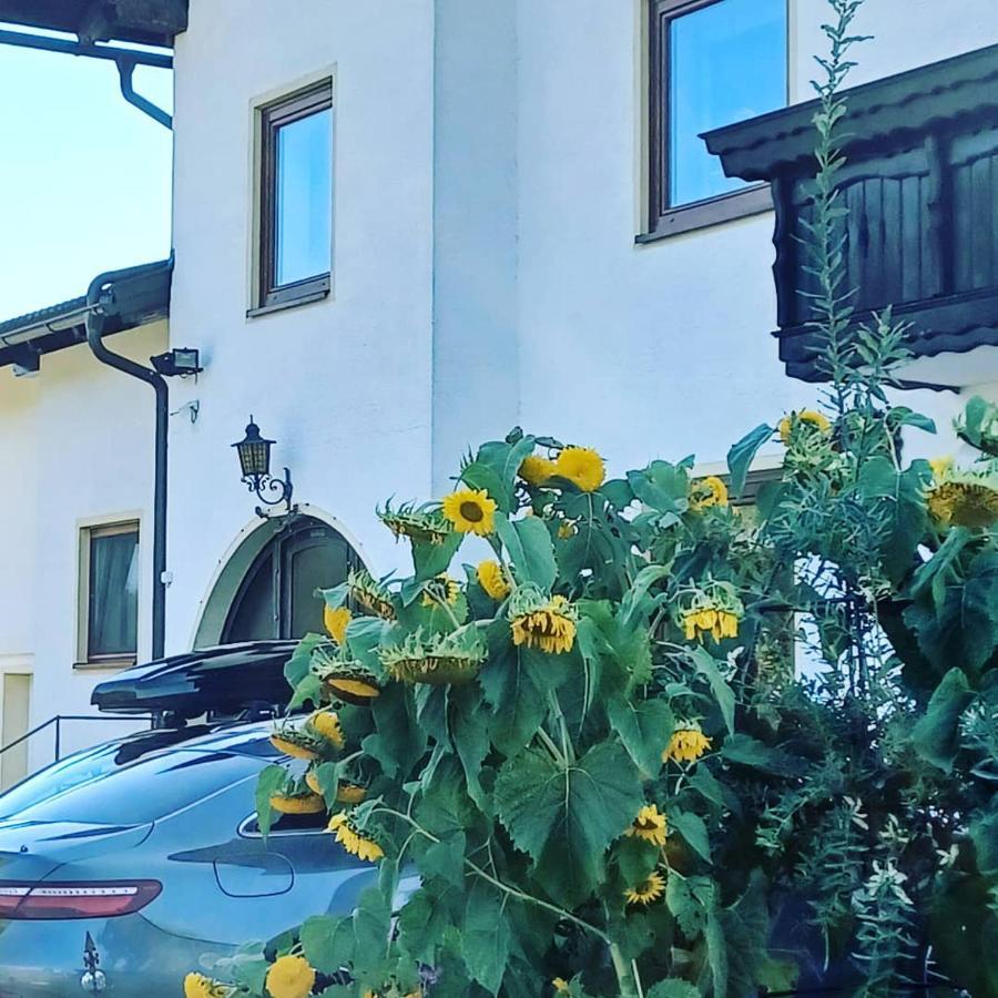 Ferienwohnung Schaller Feistritz an der Drau Extérieur photo