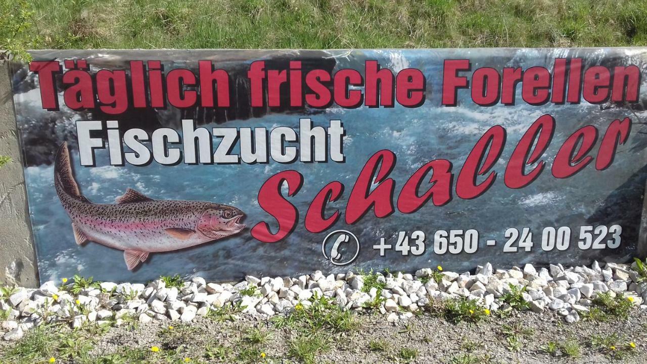 Ferienwohnung Schaller Feistritz an der Drau Extérieur photo